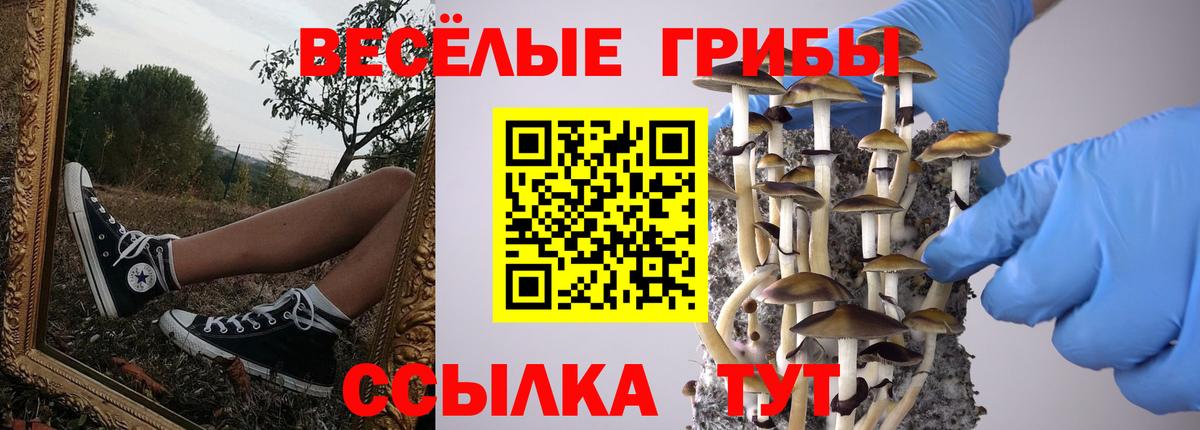Сыктывкар  Псилоцибиновые грибы Psilocybine cubensis  Вход с VPN 